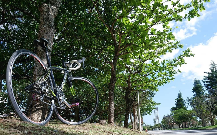 Used Bicycle LINDA in Okinawa